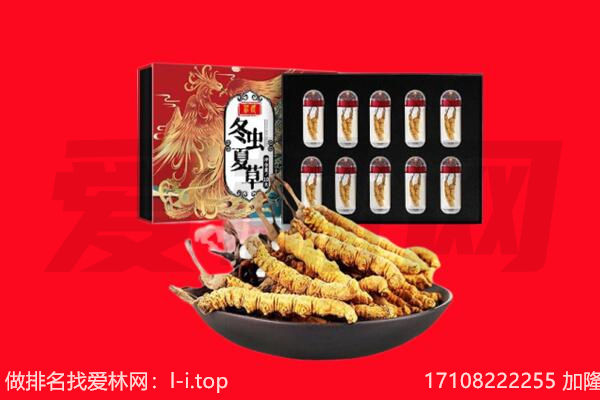 怒江回收虫草.jpg